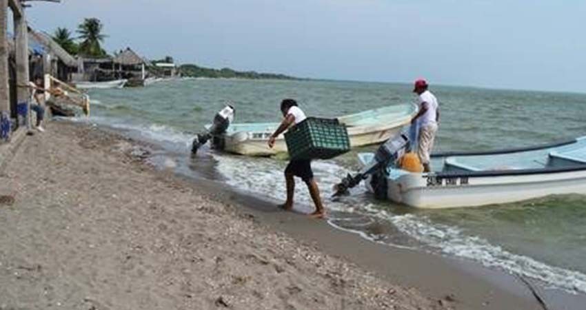 Crea el Frente Auténtico del Campo comité de autodefensas