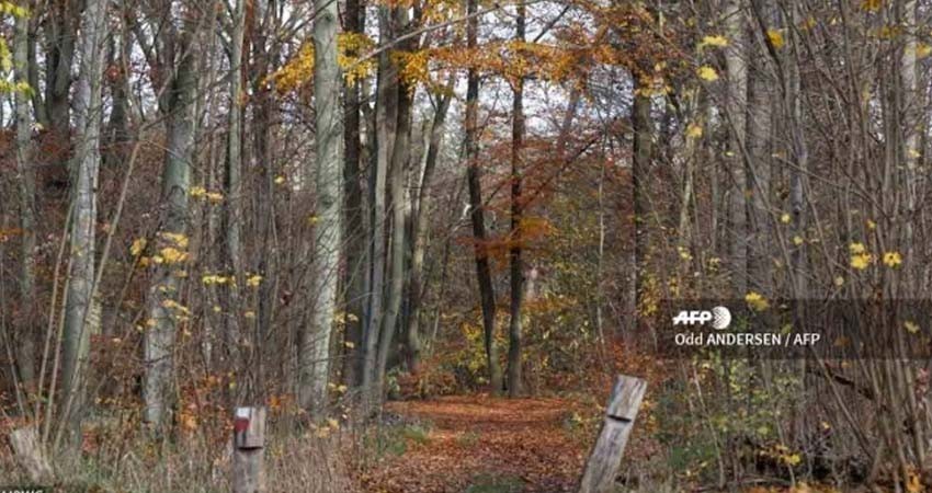 Arrestan en Berlín a hombre caníbal; tuvo cita con su víctima