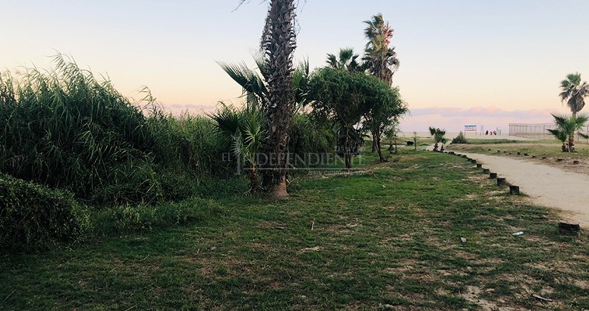 A pesar de la falta de recursos para su conservación, Estero Josefino se recupera poco a poco