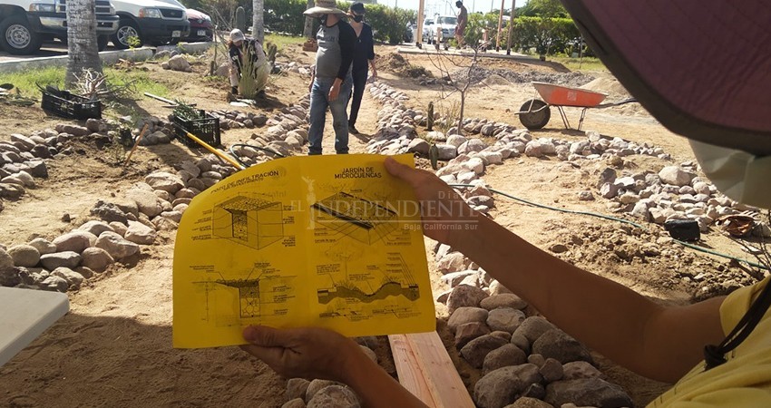 Rescatan espacio “gris” del Palacio Municipal con “oasis urbano”