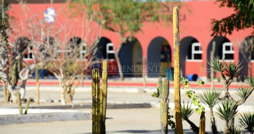 Este jueves UABCS publica resultados de admisión a la carrera de Biología Marina