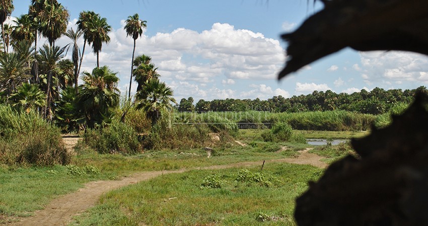 Se fue el 2020 y el presupuesto asignado para el estero no fue aplicado