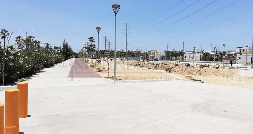 En 2021 FOIS invertirá hasta 40 mdp en BCS