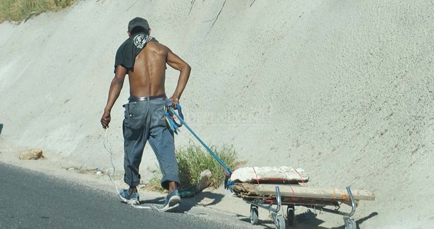 Pepena callejera, otra realidad que paulatinamente ha mostrado la pandemia