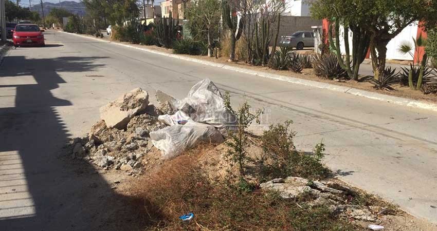 En Villa Bonita los baches que no repara OOMSAPAS crecen en tamaño y vegetación