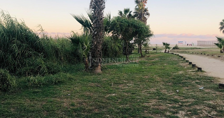 Se cierra de forma natural la bocana del Estero y comienza su recuperación ecológica