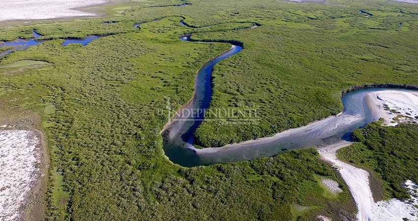 UNESCO apoya a la Reserva de El Vizcaíno para mitigar el impacto económico de la pandemia