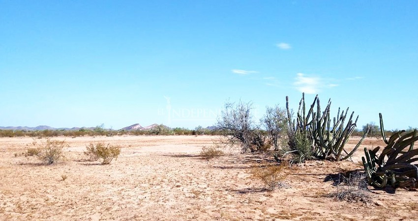 Encima de todo, 2020 fue el año con menos lluvias en décadas
