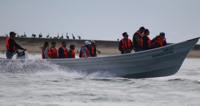 Posponen 3er temporada del  avistamiento de la Ballena Gris en Puerto Chale