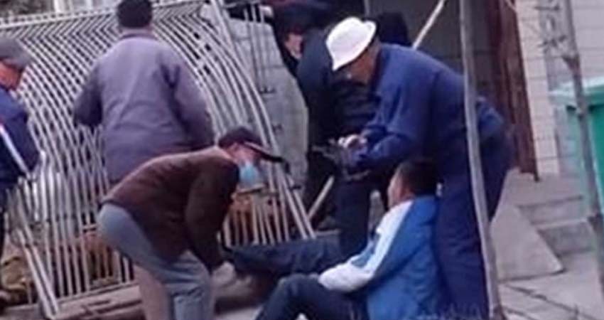 Tigre 'despierta' de anestesia y muerde a veterinario