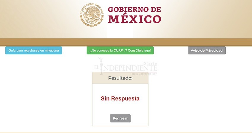 Pide paciencia delegada de Bienestar para registro de vacunación a mayores de 60