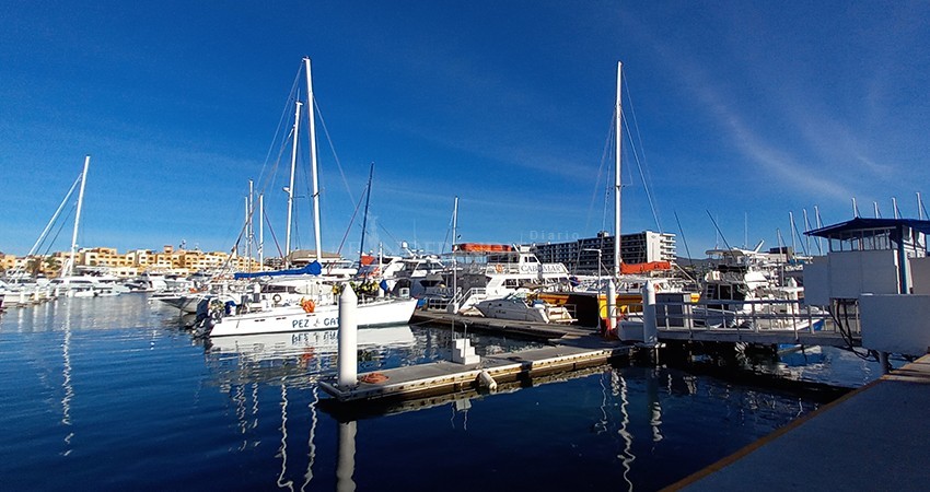 Negocios de paseos en la bahía de CSL preparan protocolos sanitarios para el 14 de febrero
