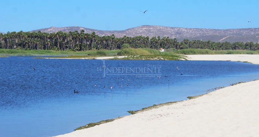 Sorprenden a ciudadanos haciendo actos indebidos en el Estero de San José