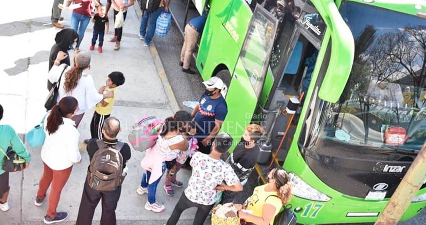 Jornaleros agrícolas llegan a BCS a través de la Secretaría del Trabajo del edo. de Guerrero