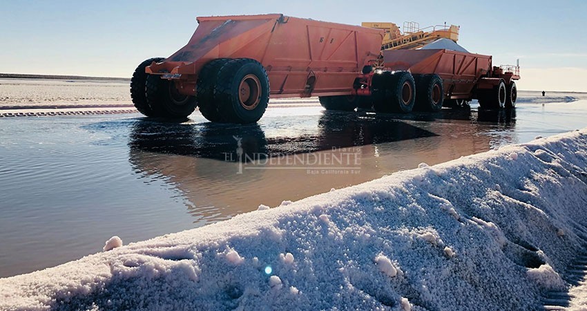 Piden al Congreso de la Unión que se investigue la administración de la Exportadora de Sal