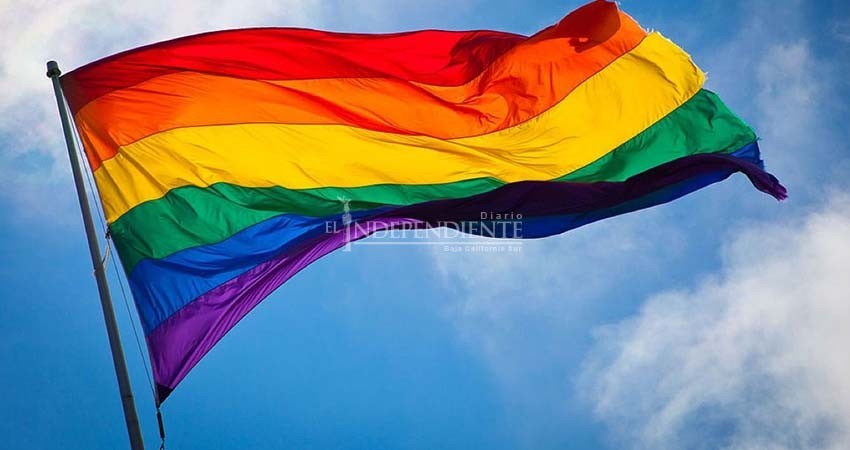 IEE aprueba candidaturas de acción afirmativa para la diversidad sexual en todos los partidos