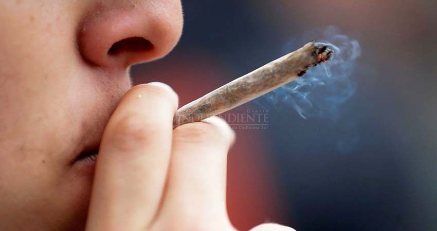 Diputados aprueban la regulación del cannabis; legisladores Sudcalifornianos piden tratamiento obligatorio