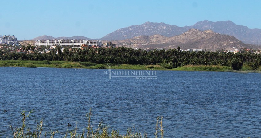 No hagan promesas de campaña relacionadas con el Estero San José, pide la sociedad