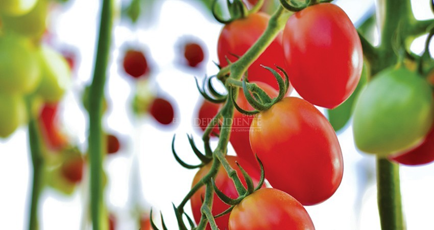 Hacia Singapur buscan comercializar productos hechos en La Paz