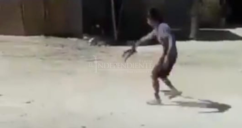 Indigna a sociedad video de joven que toma de la cola a felino y le da vueltas