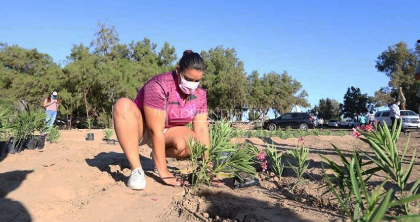 Invitan al Avistamiento de Aves en el Eco Parque de la Juventud de La Paz