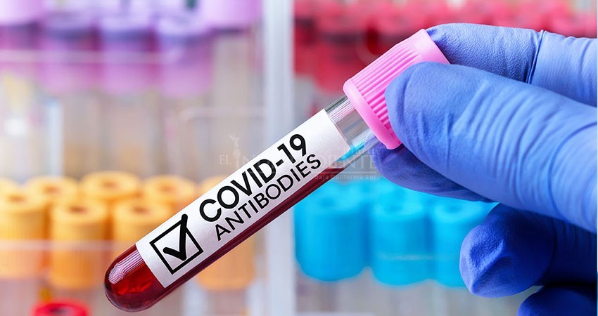 Laboratorios en BCS para detectar Covid19 están certificados y verificados: SSA