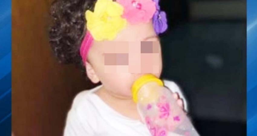 Perro mata a niña al acercarse demasiado a su plato de comida