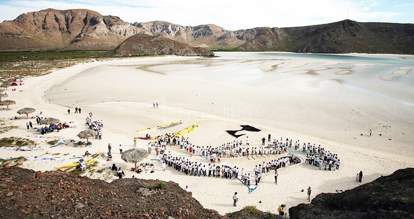 Sector ambiental sudcaliforniano lamentan muerte de activista