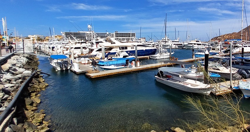 Exponencial depredación de barcos camaroneros frente a costas de Los Cabos