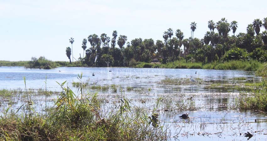 Denuncian vertedero de aguas negras en el Estero San José
