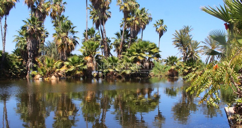 Fonatur tiene permisos para verter aguas tratadas en el Estero: Regidor