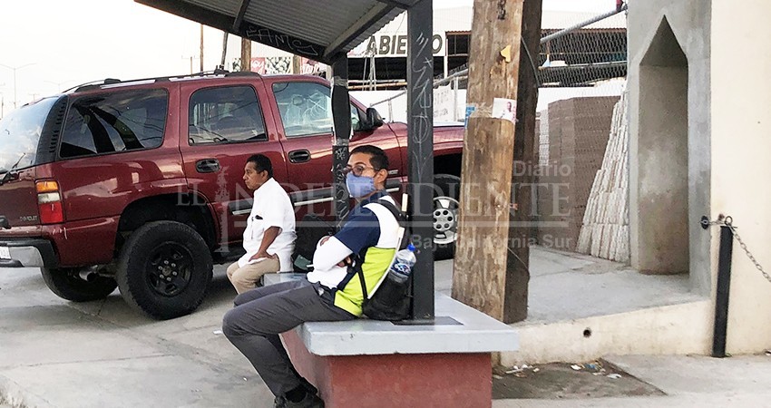 Tasa de empleo en BCS disminuyó 5% en el primer trimestre del año