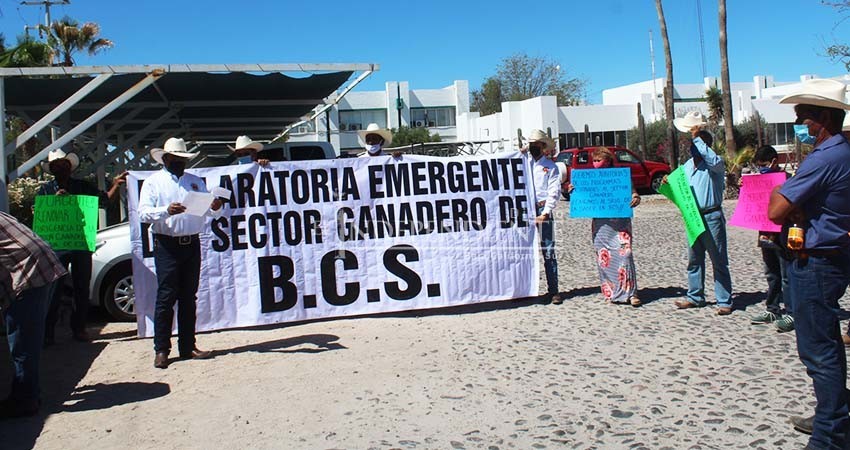 Ganaderos piden declaratoria de emergencia ante Sader