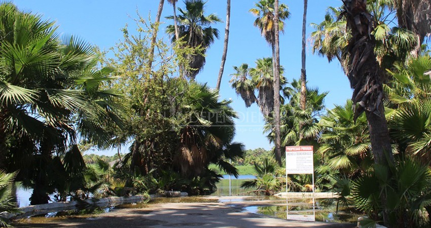 Los candidatos son libres de usar tema del Estero como crean conveniente: Jorge López