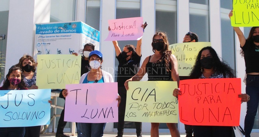 Posponen audiencia del caso de la perrita que fue enterrada viva en SJC