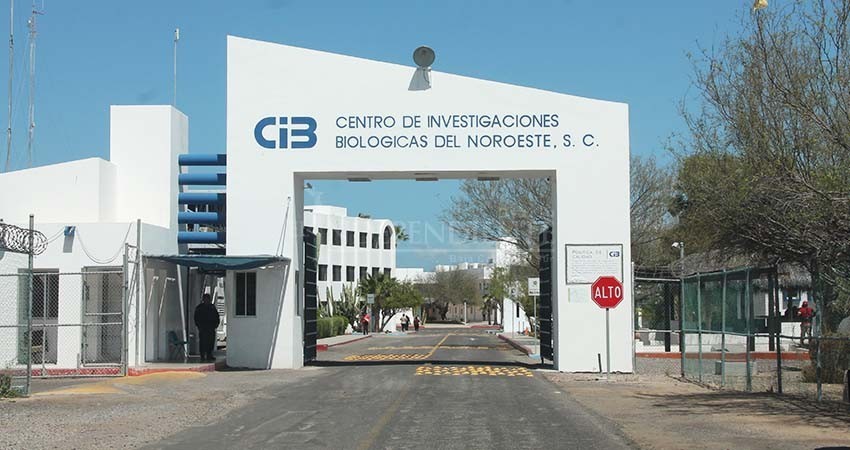 Por primera vez en su historia, sindicato emplaza a huelga a Cibnor