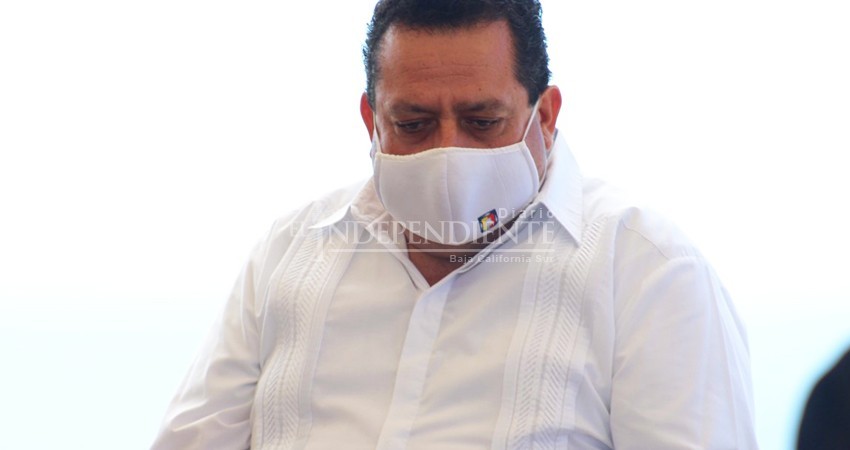 Reprochan a Mendoza referirse a casos de mascotas maltratadas, pero no a los feminicidios