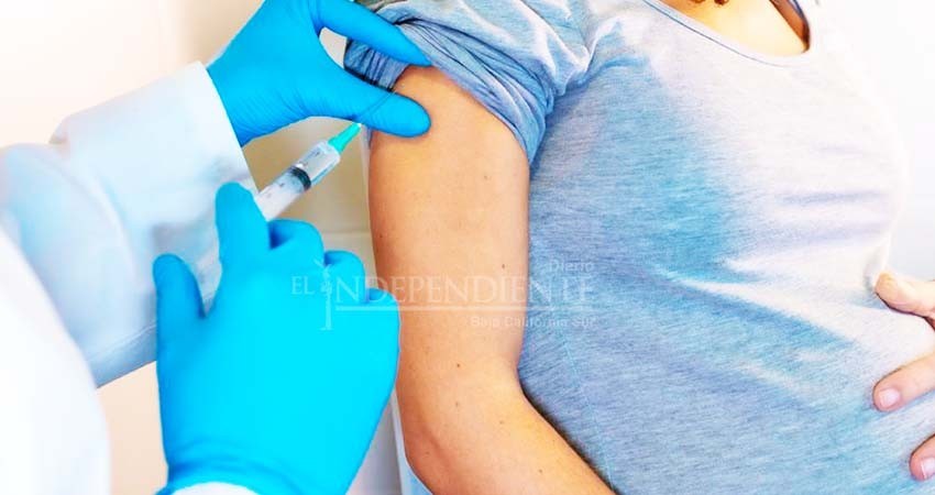 Mujeres embarazadas mayores de 18 años podrán recibir vacuna contra Covid-19