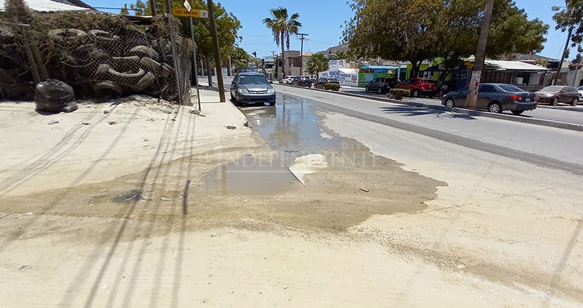 Vecinos amenazan con bloquear calles si no se reparan los baches de las avenidas