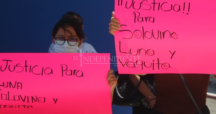 Solovino, otro perro víctima del maltrato en Los Cabos