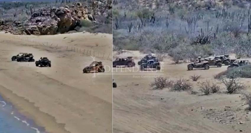 Sudcalifornianos hartos de los vehículos “razor”, destruyen caminos, playas y nidos de tortuga