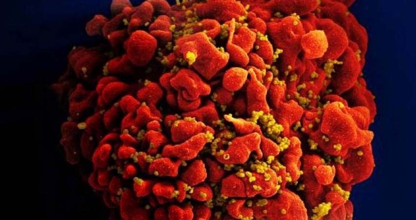 VIH-Sida: a 40 años de investigación, ¿cómo va la vacuna?