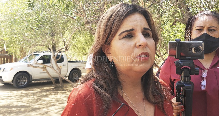 Los llamó misóginos… ahora Armida Castro busca unirse a Víctor Castro