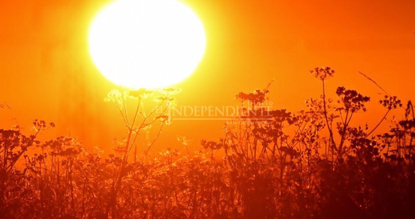 Canícula iniciará en julio