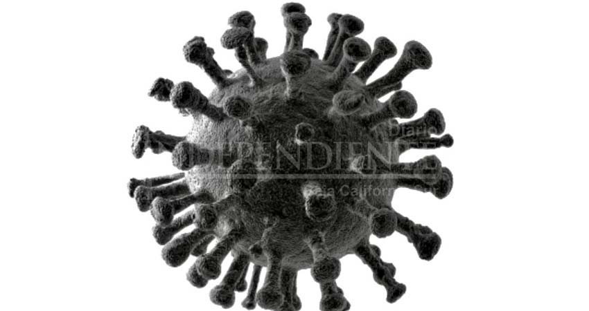 BCS dentro de los 5 estados mayor índice de COVID en México