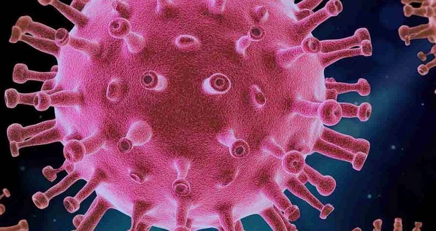 Variante Lambda, así llama la OMS a la cepa del covid presente en América Latina