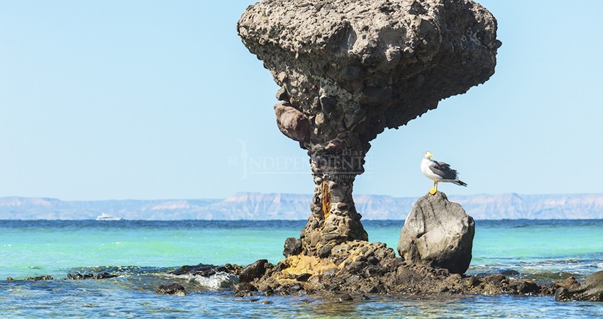 28 y 29 de junio, estará cerrada el área natural protegida Balandra