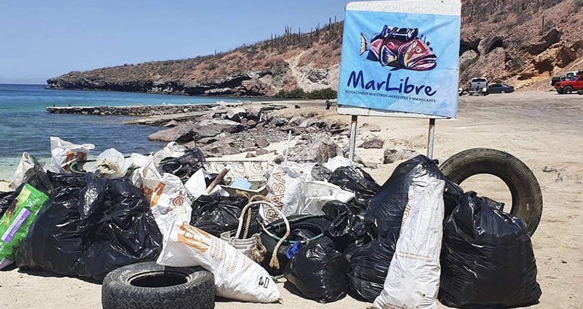 “Mar Libre” organiza limpieza subacuática de Ensenada de Muertos; cupo limitado