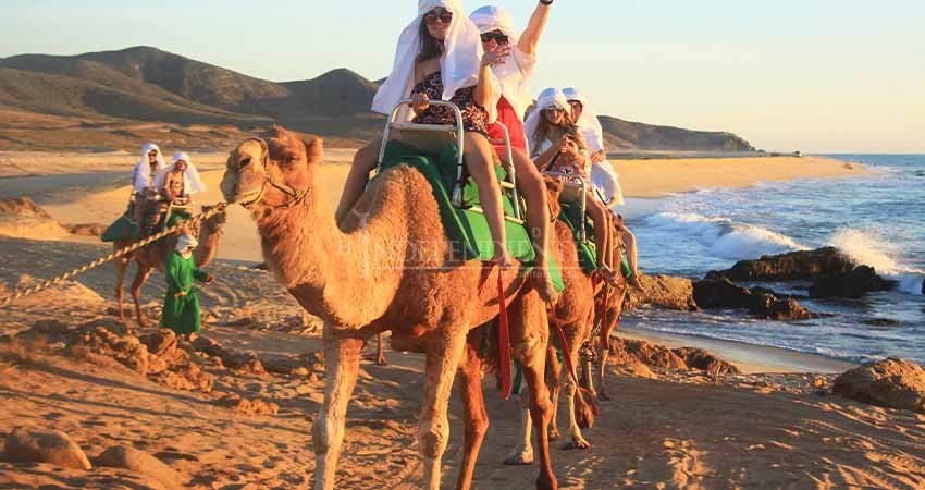 Oficial: prohíben en costas de Los Cabos paseos en motos, buggys, caballos y camellos