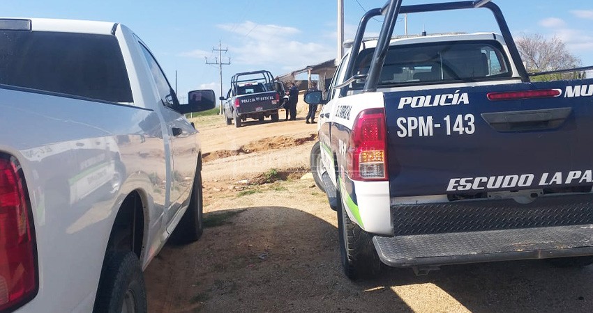Mataron al perro para robar un taller